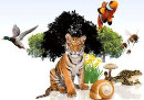 29 декабря – Международный день биологического разнообразия  (День флоры и фауны)